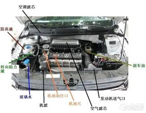 發動機倉清潔，了解這些步驟自己也能做