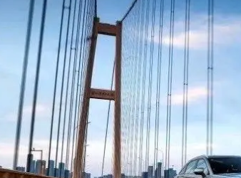 新能源汽車供應鏈上,誰才是真正的“獵人”?